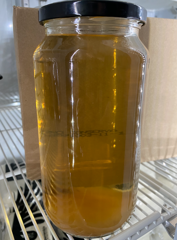 Kombucha Litro