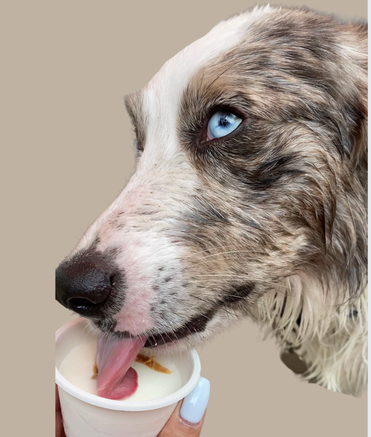 Kéfir helado en vaso