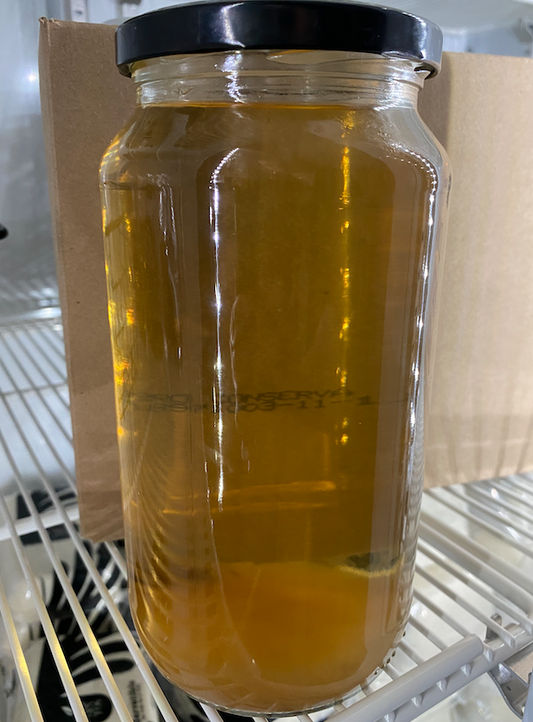 Kombucha Litro